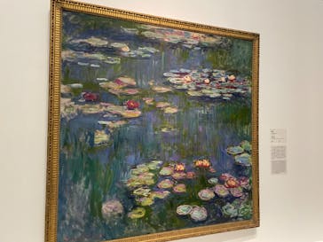 モネ 睡蓮のとき（国立西洋美術館）に投稿された画像（2024/11/13）