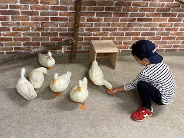 アニタッチ 東京ドームシティに投稿された画像（2024/11/13）