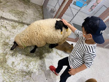 アニタッチ 東京ドームシティに投稿された画像（2024/11/13）