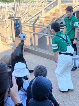 アクアワールド茨城県大洗水族館に投稿された画像（2024/11/13）