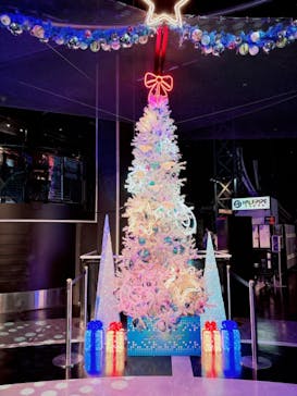 東京ジョイポリスに投稿された画像（2024/11/13）