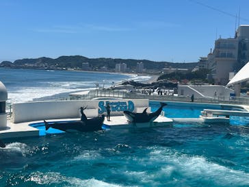 鴨川シーワールドに投稿された画像（2024/11/13）