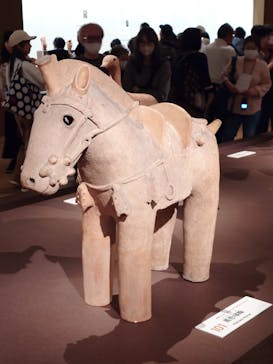 挂甲の武人 国宝指定50周年記念 特別展「はにわ」@東京国立博物館 平成館に投稿された画像（2024/11/13）