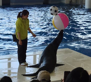アクアワールド茨城県大洗水族館に投稿された画像（2024/11/13）