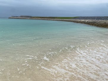 Acoustic Life（アコースティックライフ）に投稿された画像（2024/11/13）