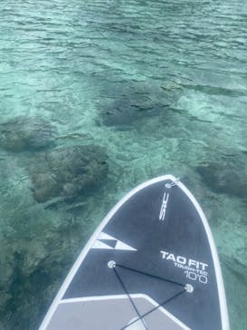 Acoustic Life（アコースティックライフ）に投稿された画像（2024/11/13）