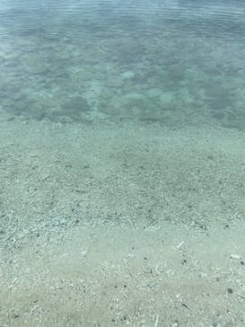 Acoustic Life（アコースティックライフ）に投稿された画像（2024/11/13）