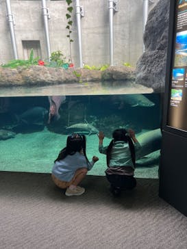 大分マリーンパレス水族館 「うみたまご」に投稿された画像（2024/11/13）
