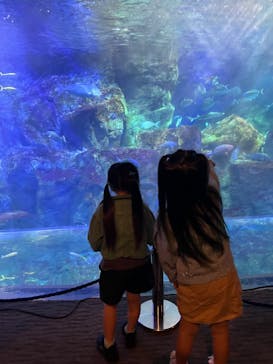 大分マリーンパレス水族館 「うみたまご」に投稿された画像（2024/11/13）