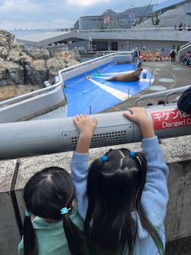 大分マリーンパレス水族館 「うみたまご」に投稿された画像（2024/11/13）