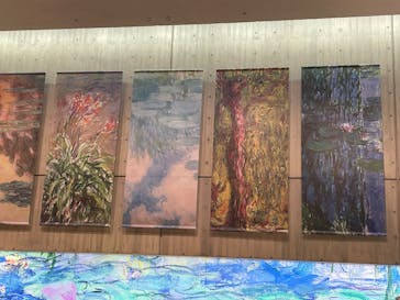 モネ 睡蓮のとき（国立西洋美術館）に投稿された画像（2024/11/13）