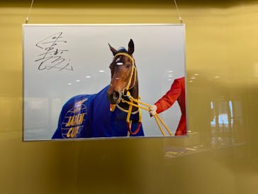 ノーザンホースパークに投稿された画像（2024/11/13）