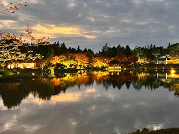 国営昭和記念公園 秋の夜散歩に投稿された画像（2024/11/13）