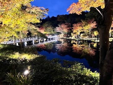 国営昭和記念公園 秋の夜散歩に投稿された画像（2024/11/13）