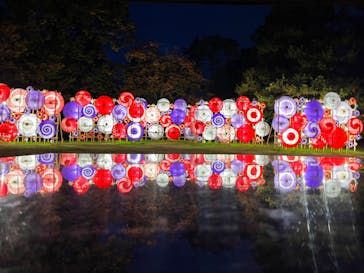 国営昭和記念公園 秋の夜散歩に投稿された画像（2024/11/13）