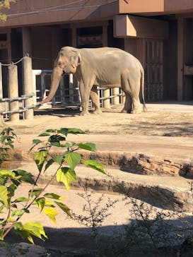名古屋市東山動植物園に投稿された画像（2024/11/13）