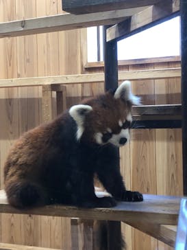 名古屋市東山動植物園に投稿された画像（2024/11/13）