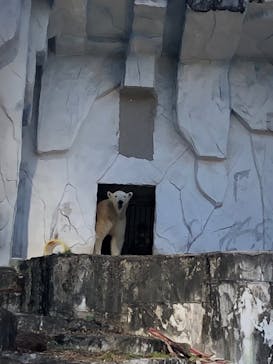 名古屋市東山動植物園に投稿された画像（2024/11/13）