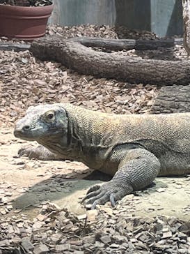 名古屋市東山動植物園に投稿された画像（2024/11/13）