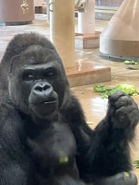 名古屋市東山動植物園に投稿された画像（2024/11/13）