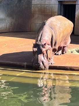 名古屋市東山動植物園に投稿された画像（2024/11/13）
