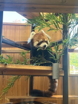 名古屋市東山動植物園に投稿された画像（2024/11/13）