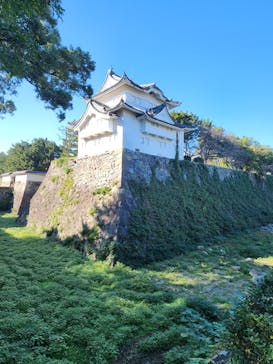 名古屋城に投稿された画像（2024/11/13）