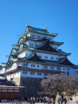 名古屋城に投稿された画像（2024/11/13）