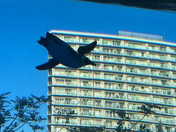 サンシャイン水族館に投稿された画像（2024/11/13）