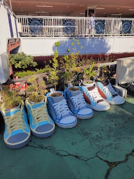 浅草花やしきに投稿された画像（2024/11/13）