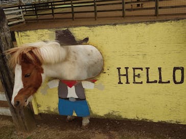 成田ゆめ牧場に投稿された画像（2024/11/13）