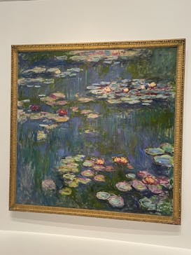 モネ 睡蓮のとき（国立西洋美術館）に投稿された画像（2024/11/13）