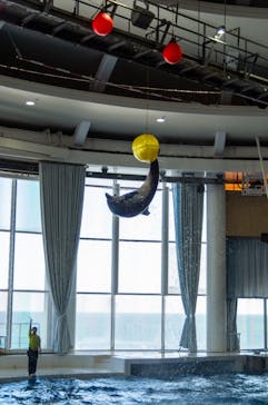 アクアワールド茨城県大洗水族館に投稿された画像（2024/11/13）