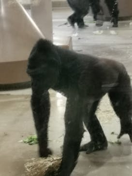 名古屋市東山動植物園に投稿された画像（2024/11/13）