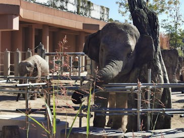 名古屋市東山動植物園に投稿された画像（2024/11/13）