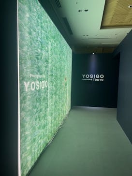 YOSIGO 写真展 Holiday Memories - 旅の瞬間 -に投稿された画像（2024/11/13）