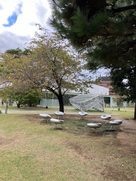 金沢21世紀美術館に投稿された画像（2024/11/13）