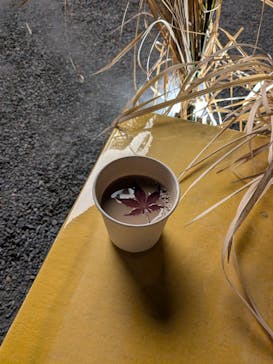 NAKED meets 二条城 2025 観月に投稿された画像（2024/11/13）