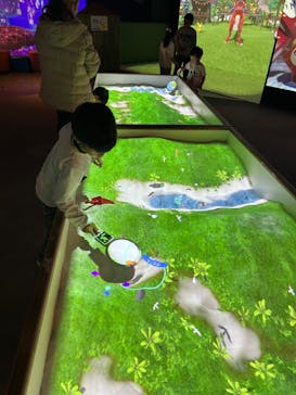 リトルプラネット ダイバーシティ東京 プラザに投稿された画像（2024/11/13）