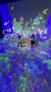 リトルプラネット ダイバーシティ東京 プラザに投稿された画像（2024/11/13）