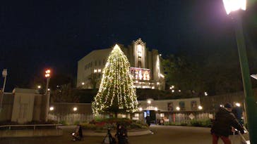 西武園ゆうえんちに投稿された画像（2024/11/13）