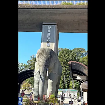 多摩動物公園に投稿された画像（2024/11/13）
