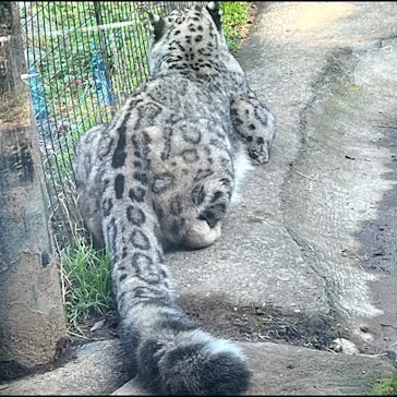 多摩動物公園に投稿された画像（2024/11/13）