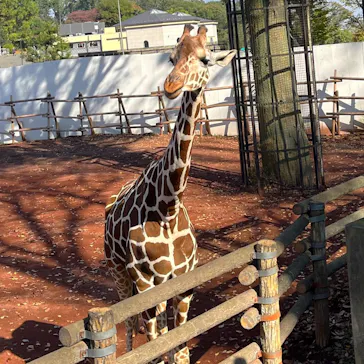 多摩動物公園に投稿された画像（2024/11/13）