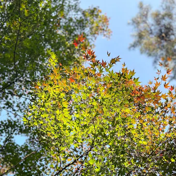 多摩動物公園に投稿された画像（2024/11/13）