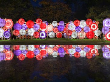 国営昭和記念公園 秋の夜散歩に投稿された画像（2024/11/13）