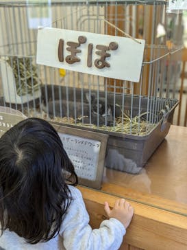 淡路ファームパーク イングランドの丘に投稿された画像（2024/11/14）