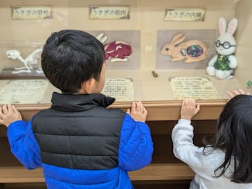 淡路ファームパーク イングランドの丘に投稿された画像（2024/11/14）