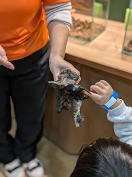 淡路ファームパーク イングランドの丘に投稿された画像（2024/11/14）