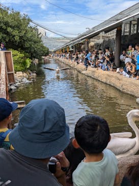神戸どうぶつ王国に投稿された画像（2024/9/15）